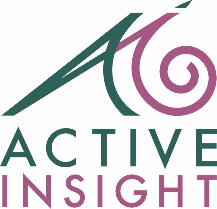 Active Insight New Logo